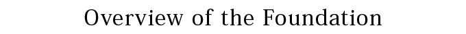 Overview of the Foundation